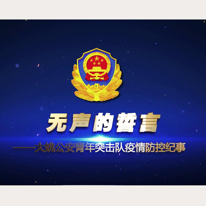 宣传片《无声的誓言》