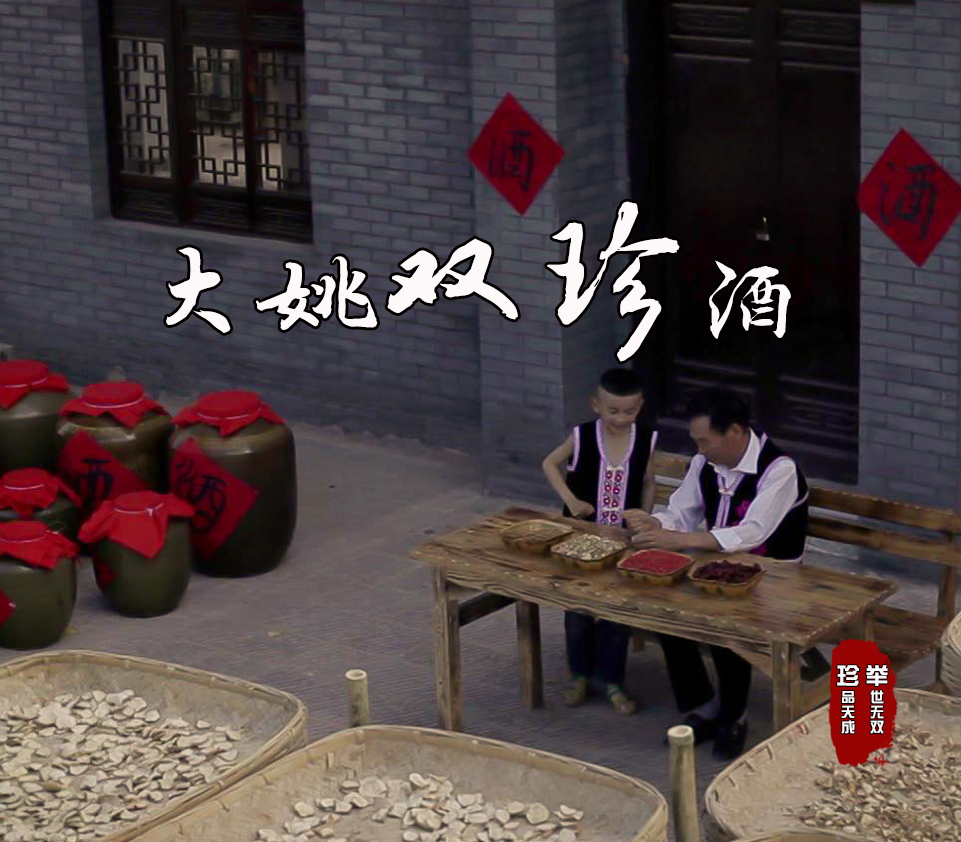 广告片《大姚双珍酒》