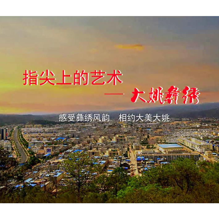广告片《大姚彝绣》