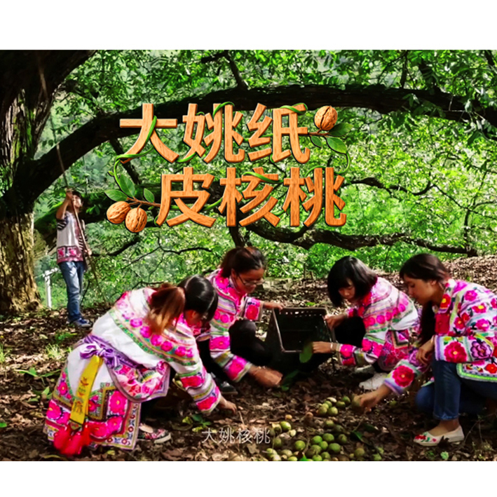 广告片《大姚纸皮核桃》
